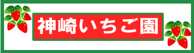 kanzaki-ichigo-minihdr